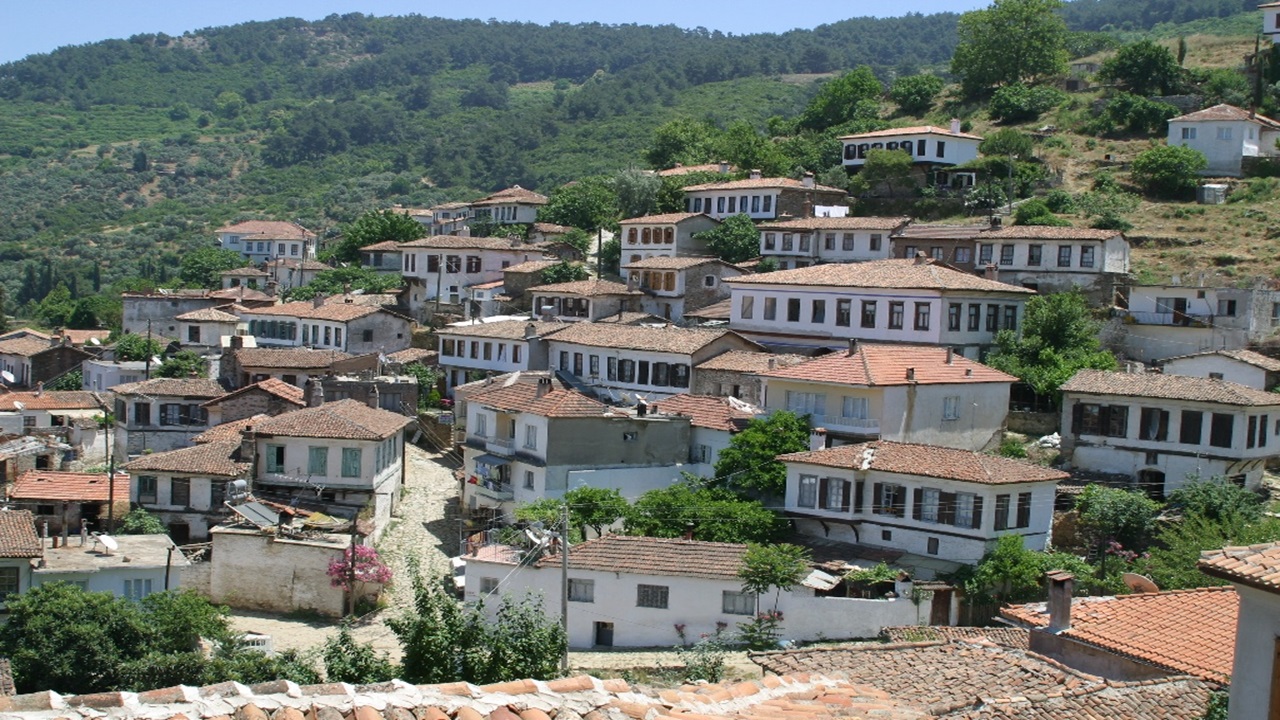 Selçuk Nakliyat 